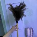 Retractable Feather Duster for Ostrich Household Car Cleaning Small