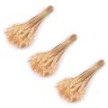 150 Pcs Wheat Ear Flower Natural Dried Flowers for Wedding Decor