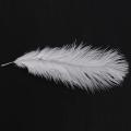 10 Pieces White Natural Ostrich Feather 20-25cm Wedding Diy