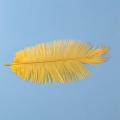 10 Pcs Ostrich Feathers Wedding Party Decoration Yellow 20-25cm