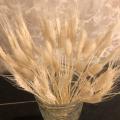 150 Pcs Wheat Ear Flower Natural Dried Flowers for Wedding Decor