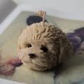 Candle Mold, Teddy Dog Head(three-dimensional Teddy Dog Head)