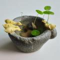 Flowerpot Bonsai Imitation Stone Mortar Duck Ornaments for Outdoor