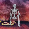 40cm Poseable Full Human Skeleton Prop Halloween Party Decor 1pcs A