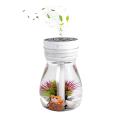 Micro-landscape Humidifiers, for Car Bedroom Office Desk(white)