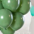 100pcs Green Balloons Olive Green Balloons Eucalyptus Party Latex