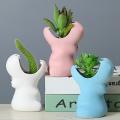 Cartoon Hippo Ceramic Flower Pot for Home Decor Flowerpot Pink