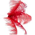 10 Pcs Ostrich Feathers Wedding Party Decoration Red 20-25cm