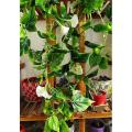 90 Inch Artificial Vines Morning Glory Flowers Hanging Plants White