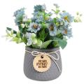 Nordic Cineraria Simulation Flower Potted Decoration , Grey