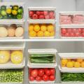 Refrigerator Storage Box Food and Fruit Storage Box(l)