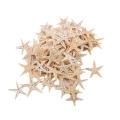 100pcs Natural Starfish Seashell Beach Craft Diy Beach Crafts 1-5cm