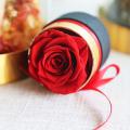 Valentine's Day Gift Eternal Flower Rose +gift Box for Wife-m