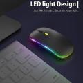 Led Wireless Mouse,with Usb & Type-c Receiver, for Laptop(black)