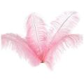 10 Pcs Ostrich Feathers Wedding Party Decoration Red 20-25cm