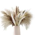 80pcs Pampas Grass-17.5 Inch Natural Dried Pompas Grass,arrangements