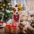 Christmas Dog Bandana Hat Bow Tie Set,plaid Pet Scarf (red)