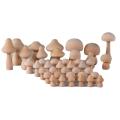40 Pieces Wooden Mushroom Set for Children's Arts and Diy Crafts