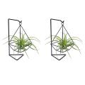 1pc Air Plant Terrarium, Modern Style Plant Table Four Side Bracket