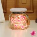 Mason Jar Lid Lights Waterproof Fairy Firefly Jar Lids Lights Pink