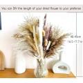 Dried Pampas Grass 90pcs Boho Home Decor Dried Flowers Arrangements