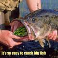 10 Pcs Frog Lure Fishing Lure for Bass Catfish Freshwater Fishing
