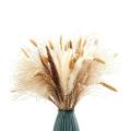 Dried Pampas Grass 70pcs 17.5 Inch Rabbit Tail Millet Bulrush Vase