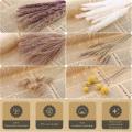 65pcs Pampas Grass Decor, Natural Dried Flowers Bouquet Boho Decor