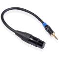 3.5mm Stereo Jack Audio Cable to Xlr (male) Audio Cable (0.3m)