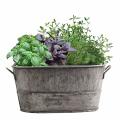 2pc Garden Plant Pot Decorative Vintage Succulent Planter Flower Pot