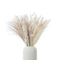 Natural Dried Pampas Grass - 85 Stems Assorted Dried Flowers 17inch