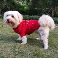 Classic Dog Jumper Thickening Pet Sweater, Pet Winter Clothes Xl