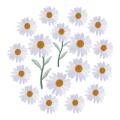 17pcs Daisy Flower Embroidered Iron/sew On Applique for Jacket(white)