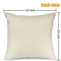 Summer Pillow Covers 18x18 Set Of 4 Summer Decorations