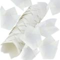 200 Tulip Baking Paper Cups for Wedding Birthday Holiday (white)
