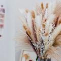 Pampas Grass 90pcs Natural Dried Flowers-for Home and Room Decor