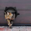 Cat Door,pet Doors for Cats, for Interior Doors & Exterior Doors