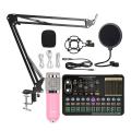 Condenser Microphone Bm800 V10 Pro Sound Card for Pc (pink Silver)