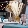 Pampas Grass Decoration Dried Flowers,hay Bouquet Set,pampas Grass