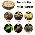 2 Pack Reptile Food Bowls for Lizards, Young Bearded Dragons, Snakes