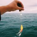 15pcs Shrimp Soft Lure 9cm/6g Fishing Artificial Bait with Glow Hook