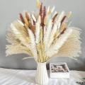 Dried Pampas Grass 96pcs Boho Home Decor Dried Flowers Arrangements