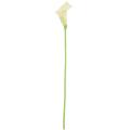 18x Artificial Calla Lily Flowers Creamy