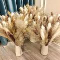 80 Pcs Dried Pampas Grass Decor, 17.5 Inch Natural Pompas Grass