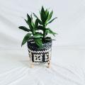 Plant Stand Hand Woven Rattan Straw Basket for Plant Pots Stands