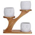 3 Pieces Of Owl Succulent Flower Pot with 3-layer Bamboo Dish Holder
