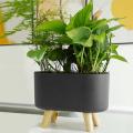 Automatic Self-watering Plastic Plant Pot with Water Level-1