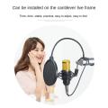 Bm 800 Microphone for Live Streaming Professional Studio (gold)