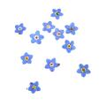 100pcs Pressed Dried Natural Mini Blue Forgetmenot Flower Plant