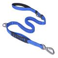Dog Leash, 4-6 Feet with Comfortable Padded Handle & Buckle Blue